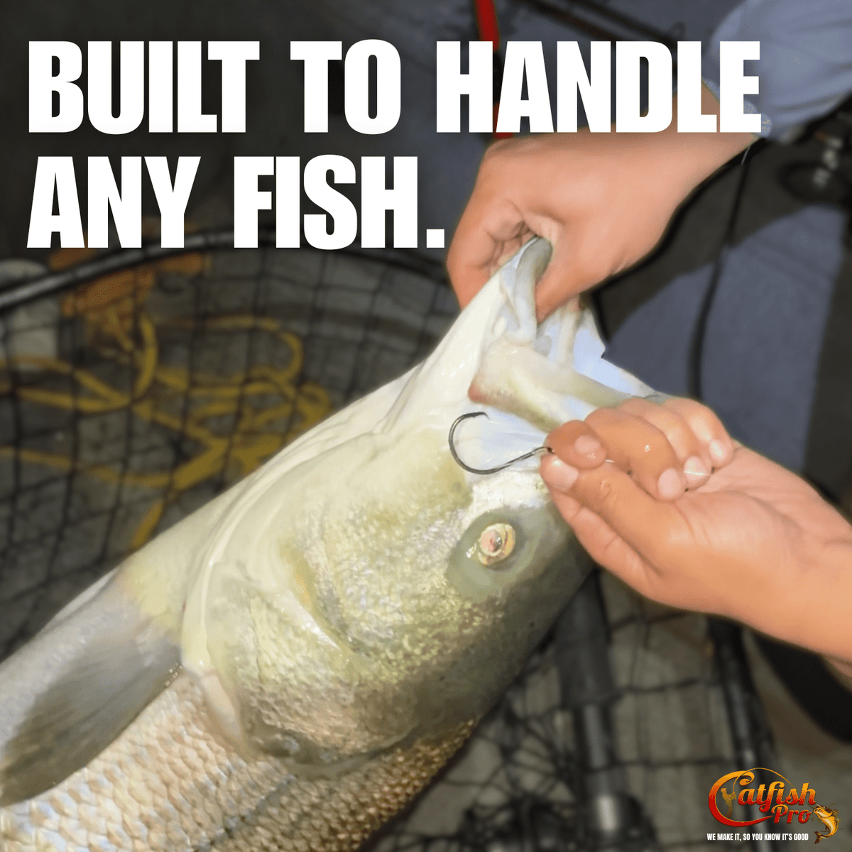 Double Offset Circle Hooks 6/0 - Value Pack