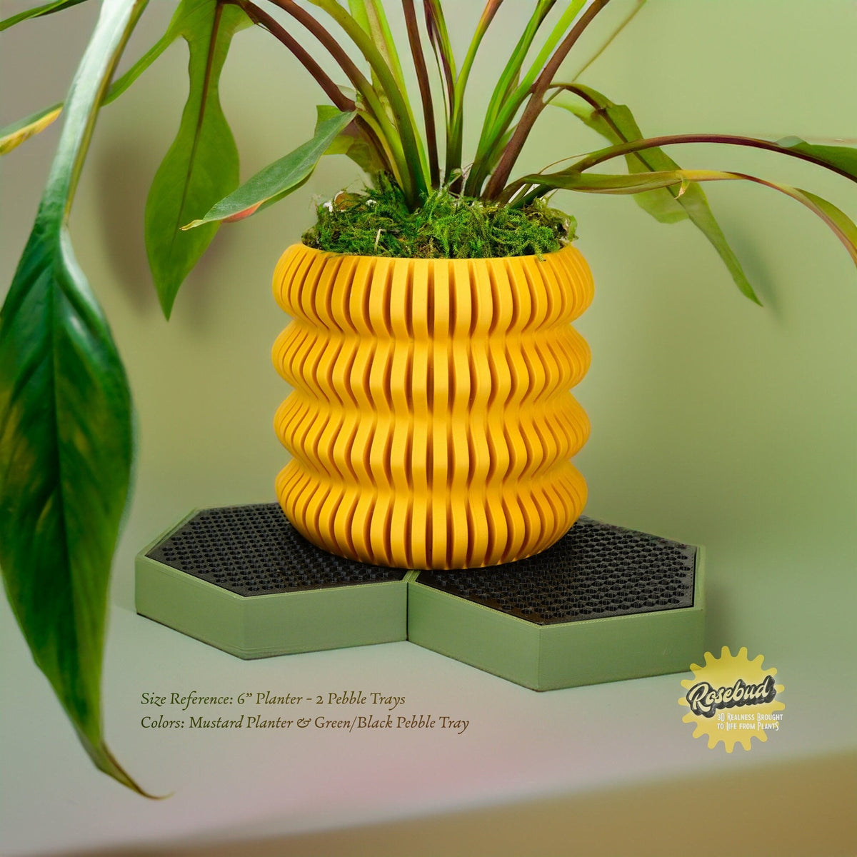 Water Humidity Tray for Houseplants, Includes Pebbles